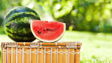 big melon tube|PMVHaven .